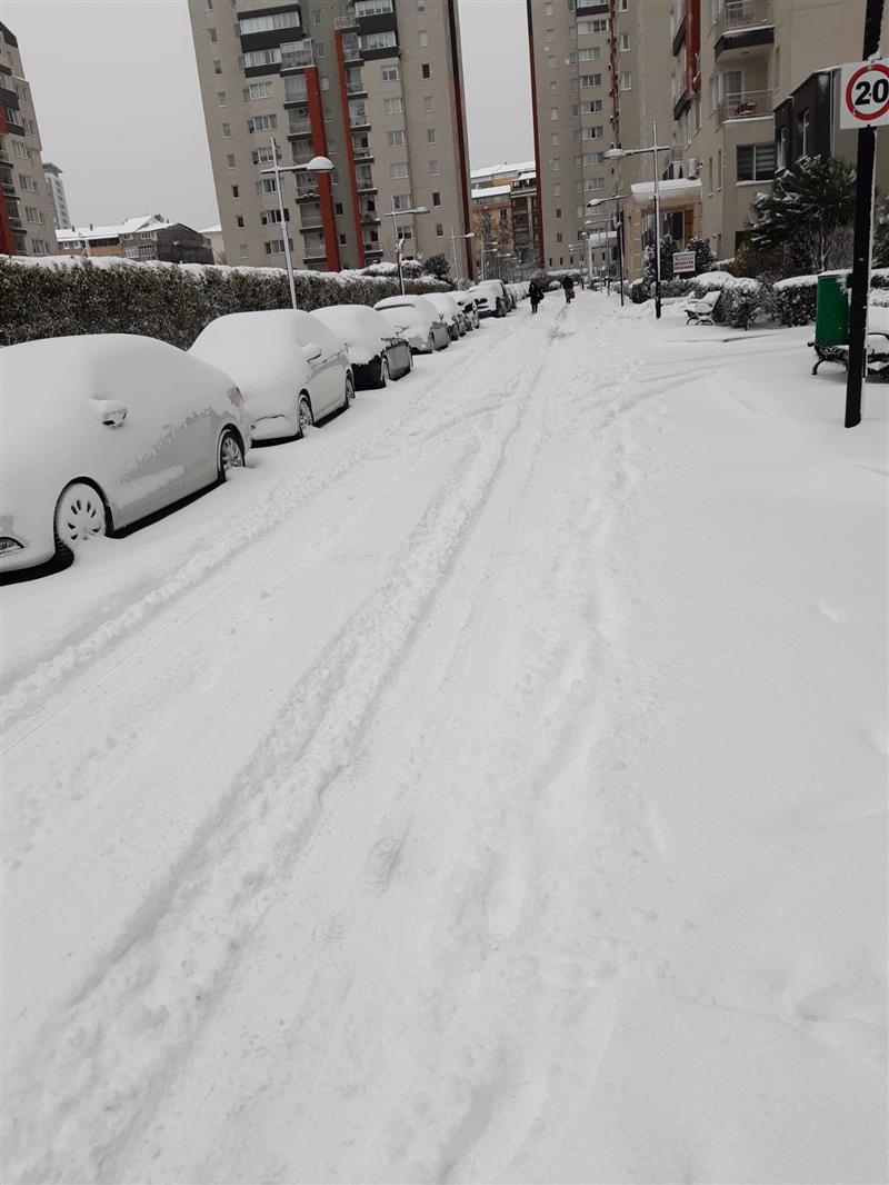 11 Mart 2022 Sitede Karla M�cadelemiz