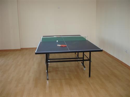 Masa Tenisi Salonu